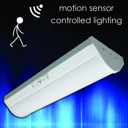 Motion Sensor Controlled Lighting